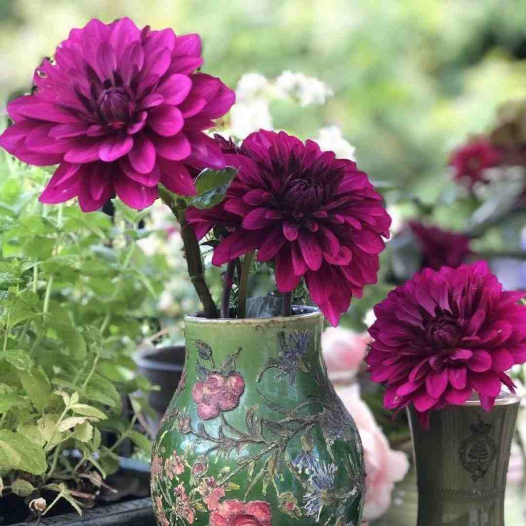  میریزیم هودی تنمه هودی زر زر مفت