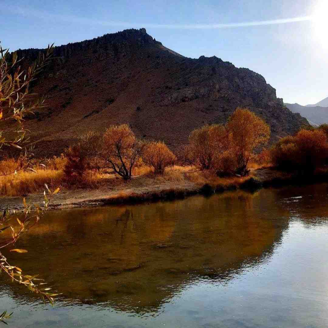 فقط منو بزار خونه میخوام تعطیلیمو اصلا خونه باشم