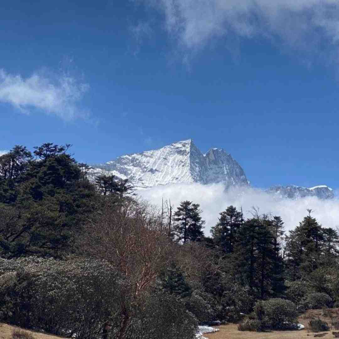  میگن که چرا تو رابطه نمیری چون هنوز دوست دارم اکسمو