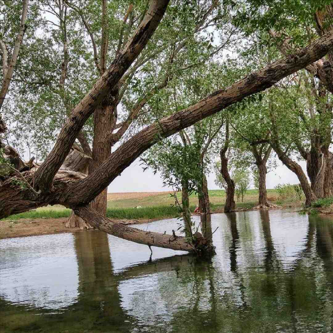  ننه بابام قهر کردم اومدم محل شر کردم