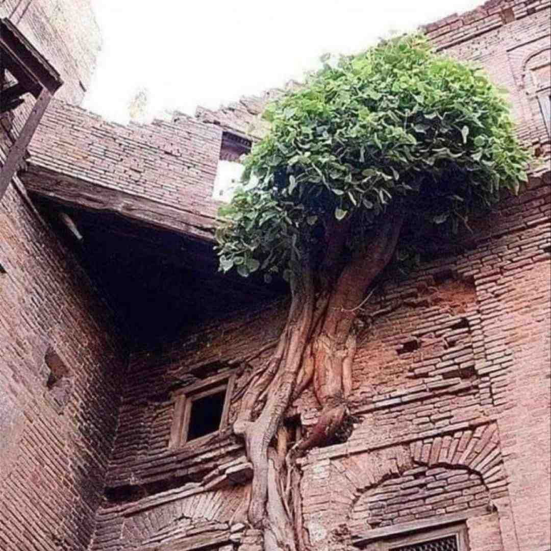  لم بده برام رو صندلی با صدای زن