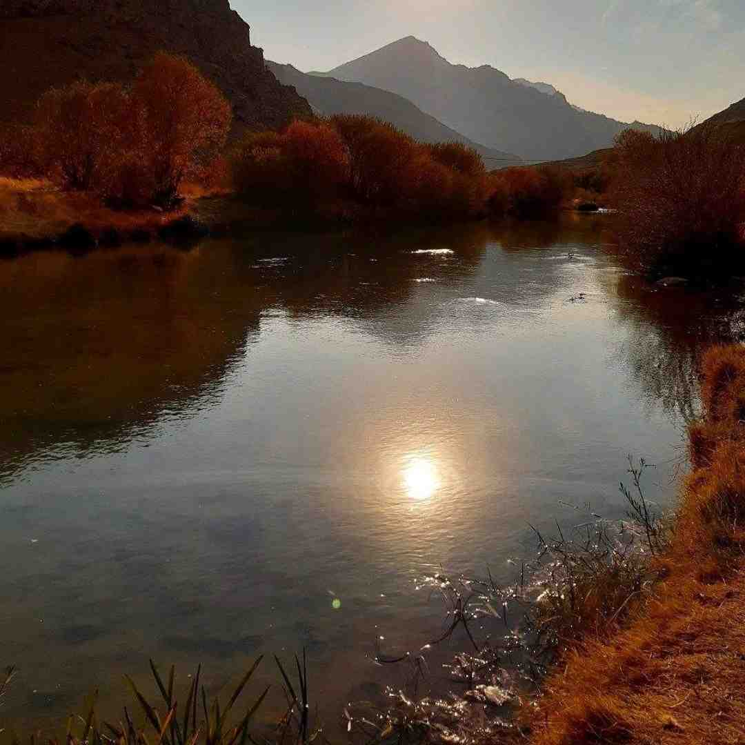 خونه ساکت تی وی خاموش دل ماها داغون