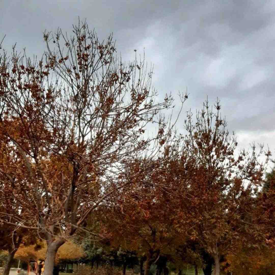 یه روز بشه ببینی انجام دادی