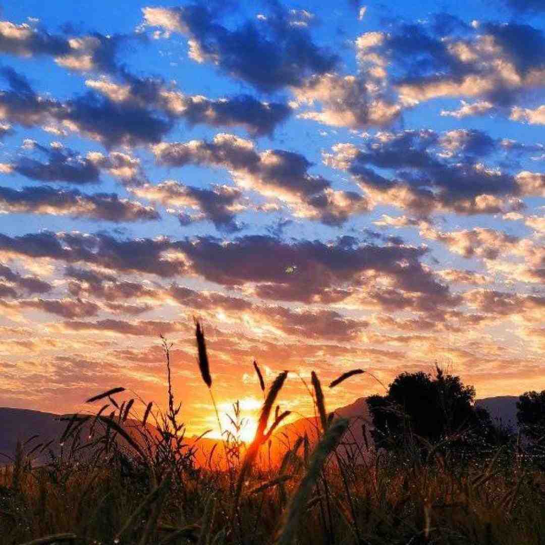  امروزم همه چی تو ذوق میزد