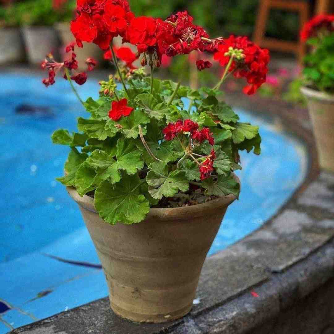  تو بگو بهشت کدومه اصاً تو این زمین بهشت کجا بود