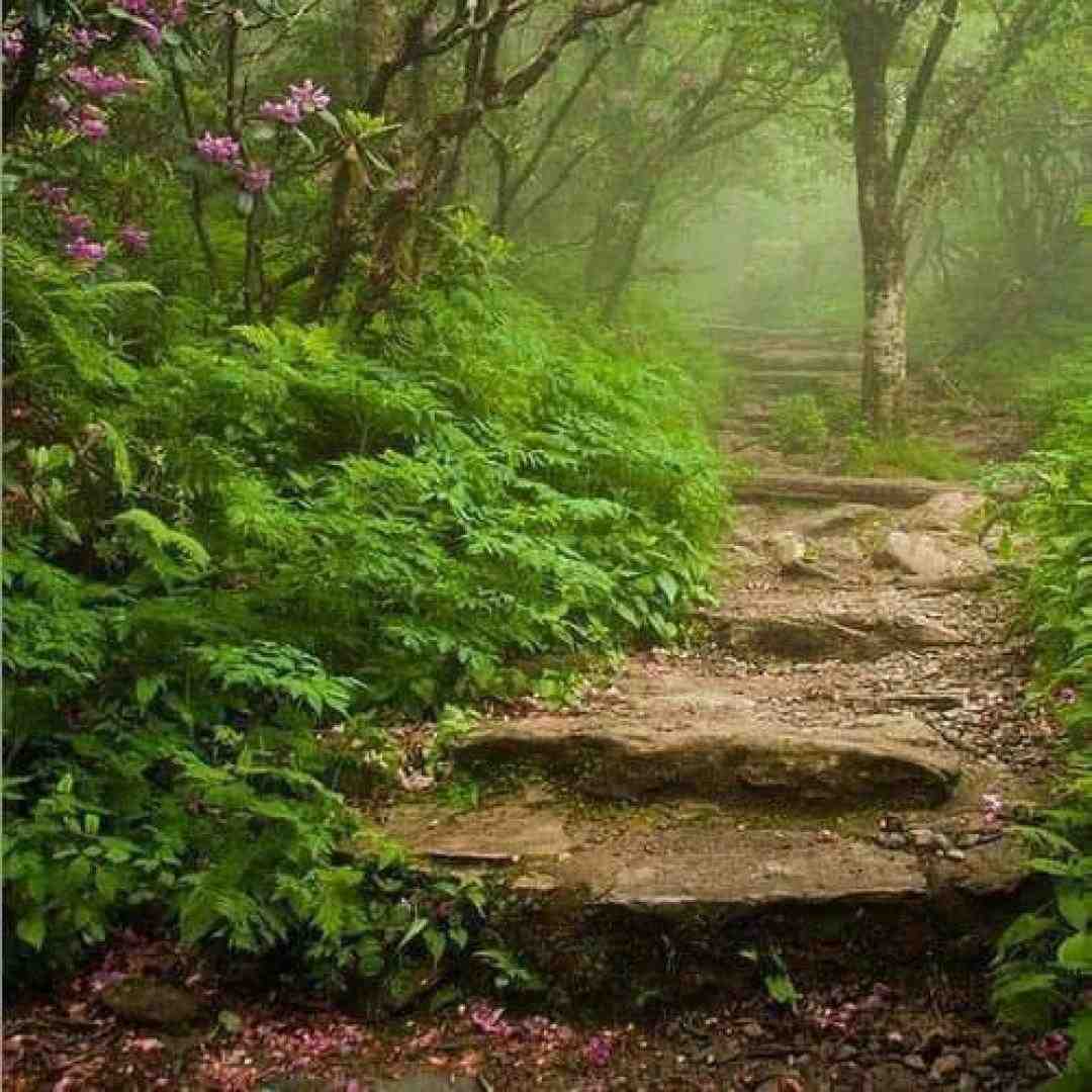 ته همه رفاقت ها یک روز میره بو توش