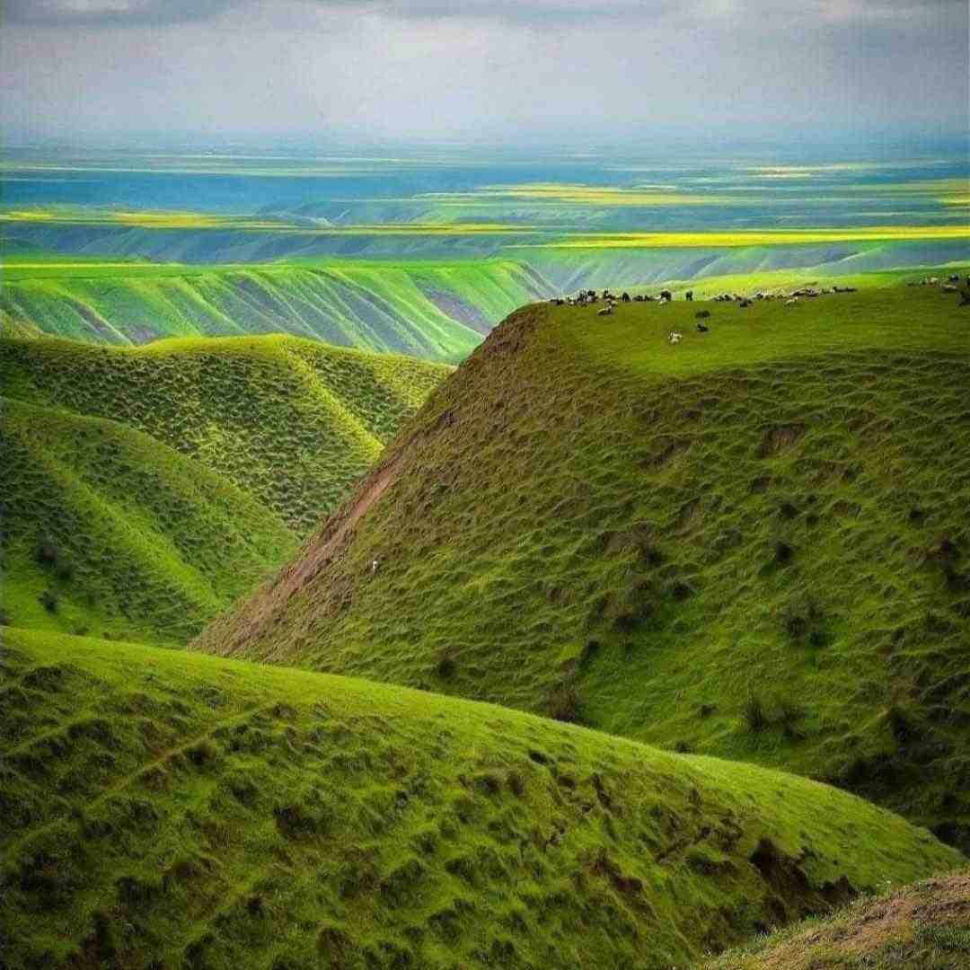 تولدته یه شمع روی کیک بخندی دلم با صدای دختر