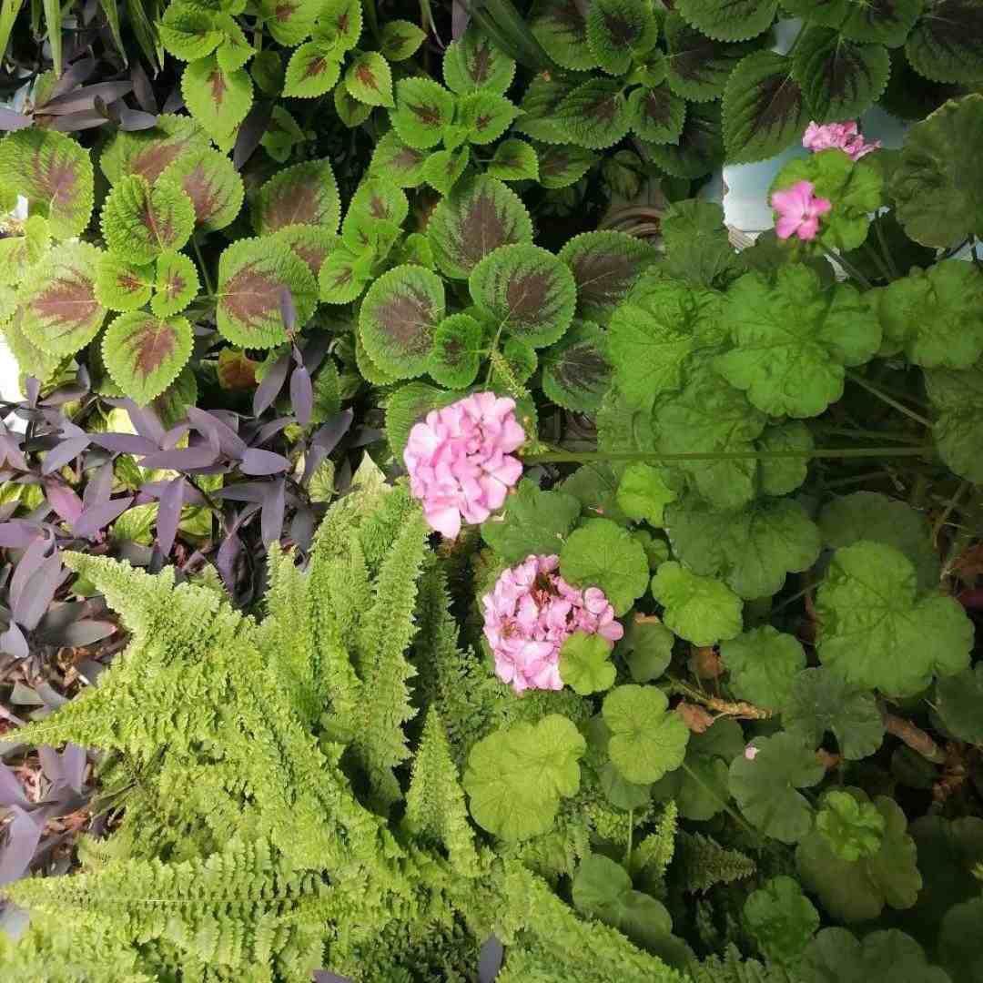  حاجی فکر کردم نمیخوای همشو کشیدم مونده