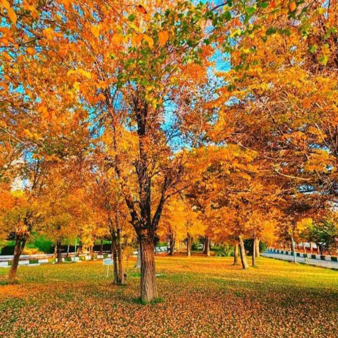 یوخدی قراریم الله الله (ترند اینستا)
