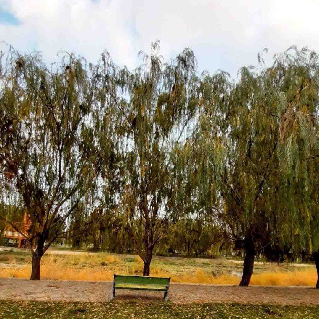 یکم صبر کن تحمل کن بمون شاید درست شه