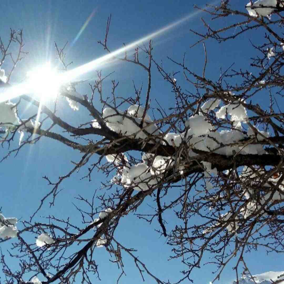  تو عاشق نبودی که درد دل عاشقا رو بفهمی