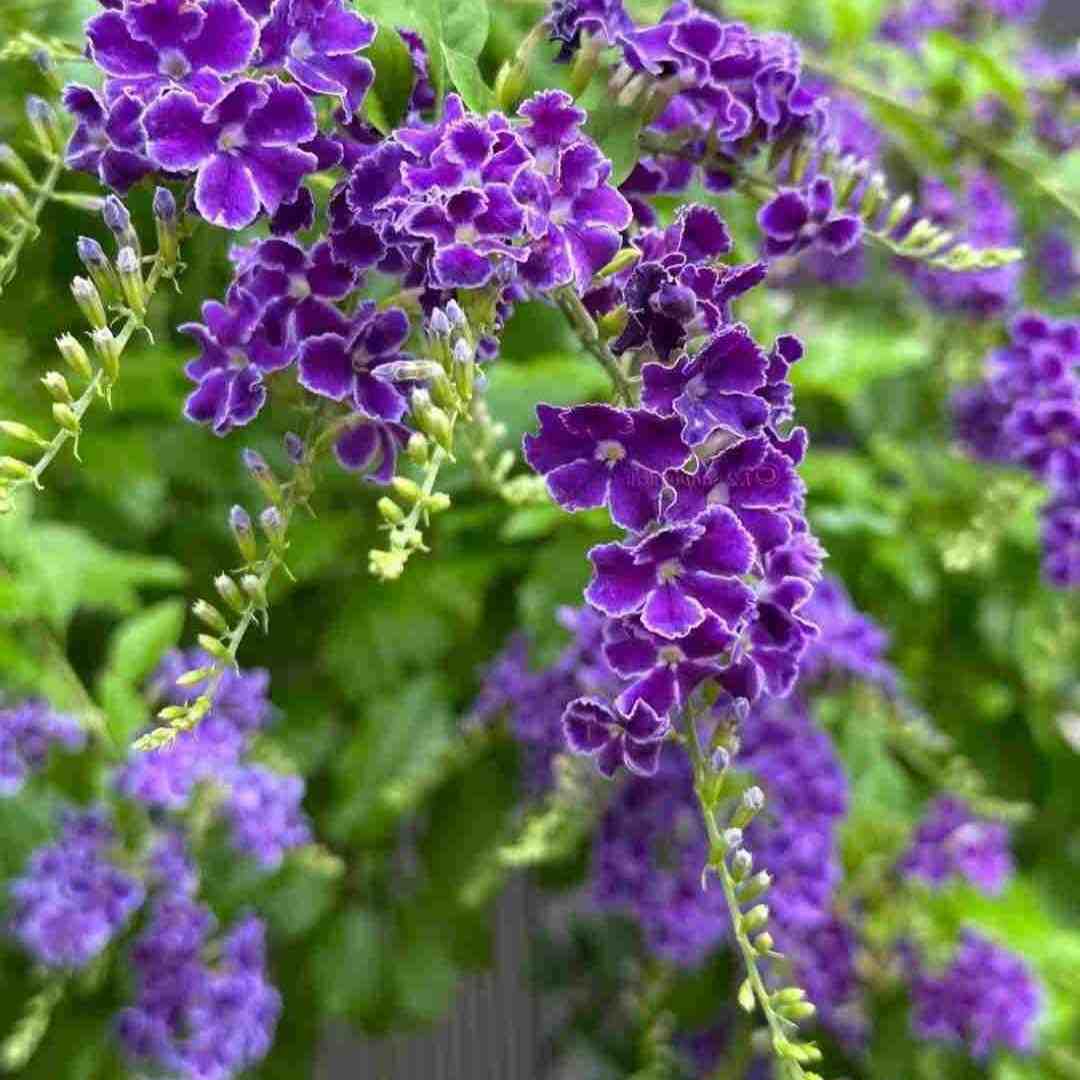  نمیتونم فراموش کنم اون همه داستانو