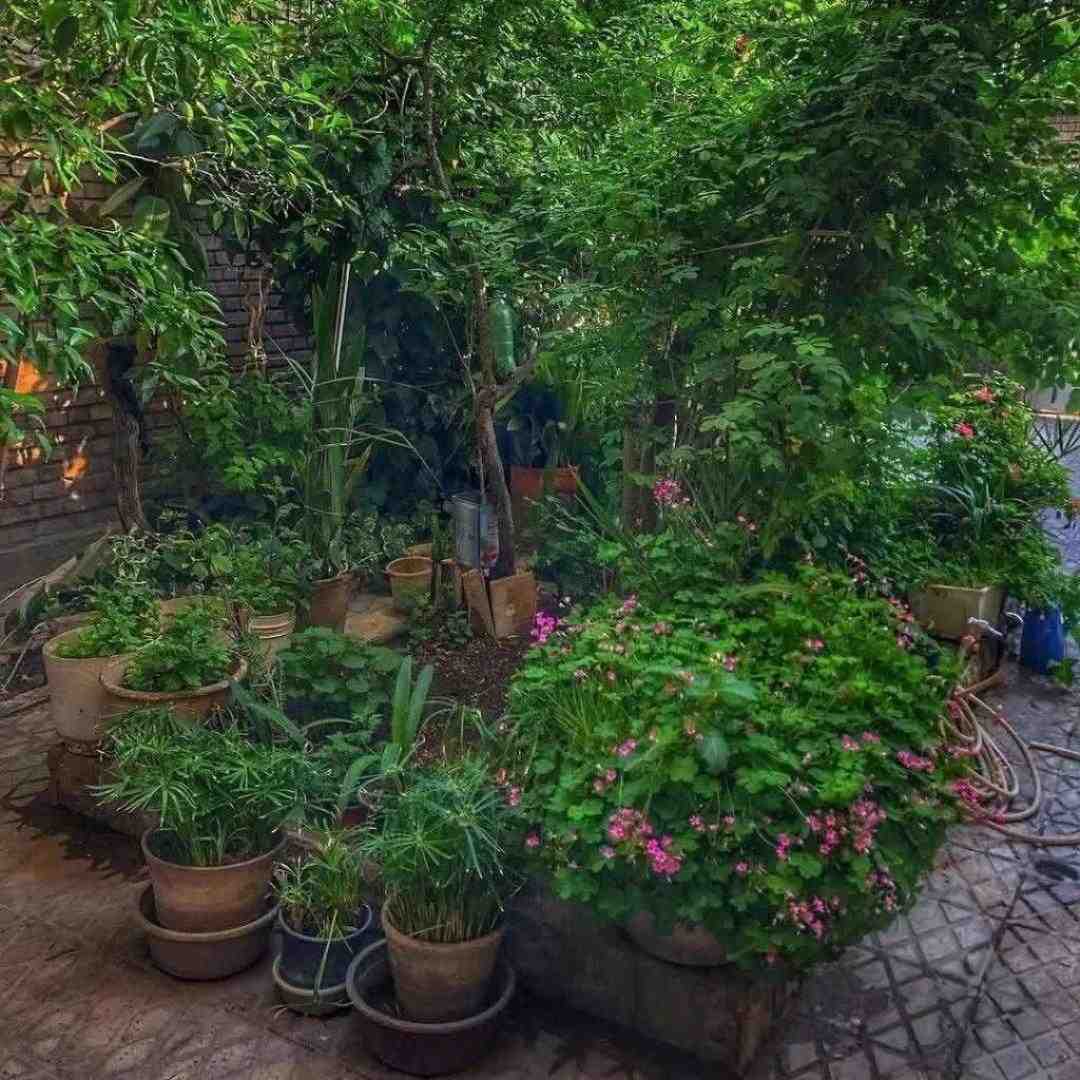   اون که رسونده به همه خودش نمیرسه منم
