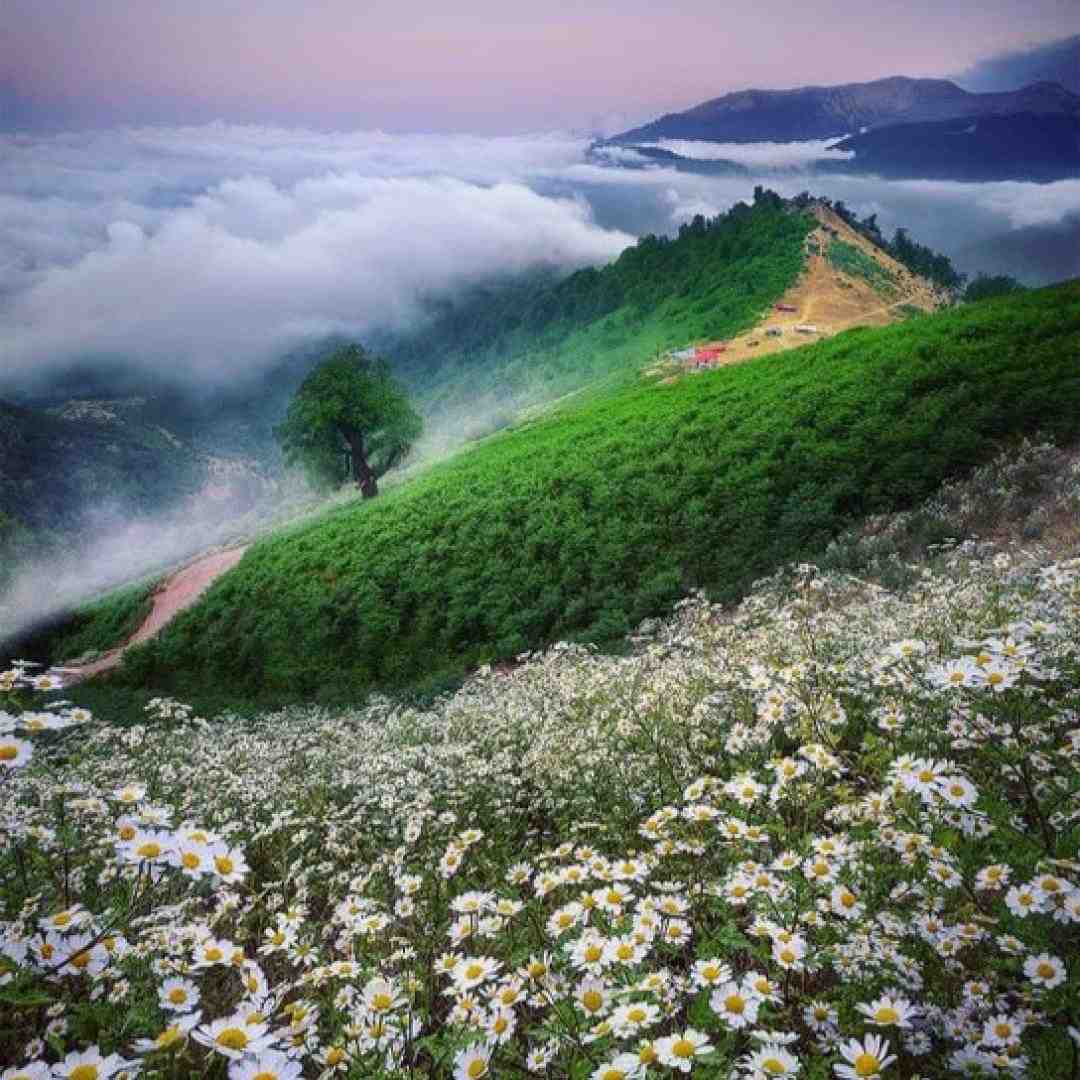 ولی به تو خوش میگذره میدونم