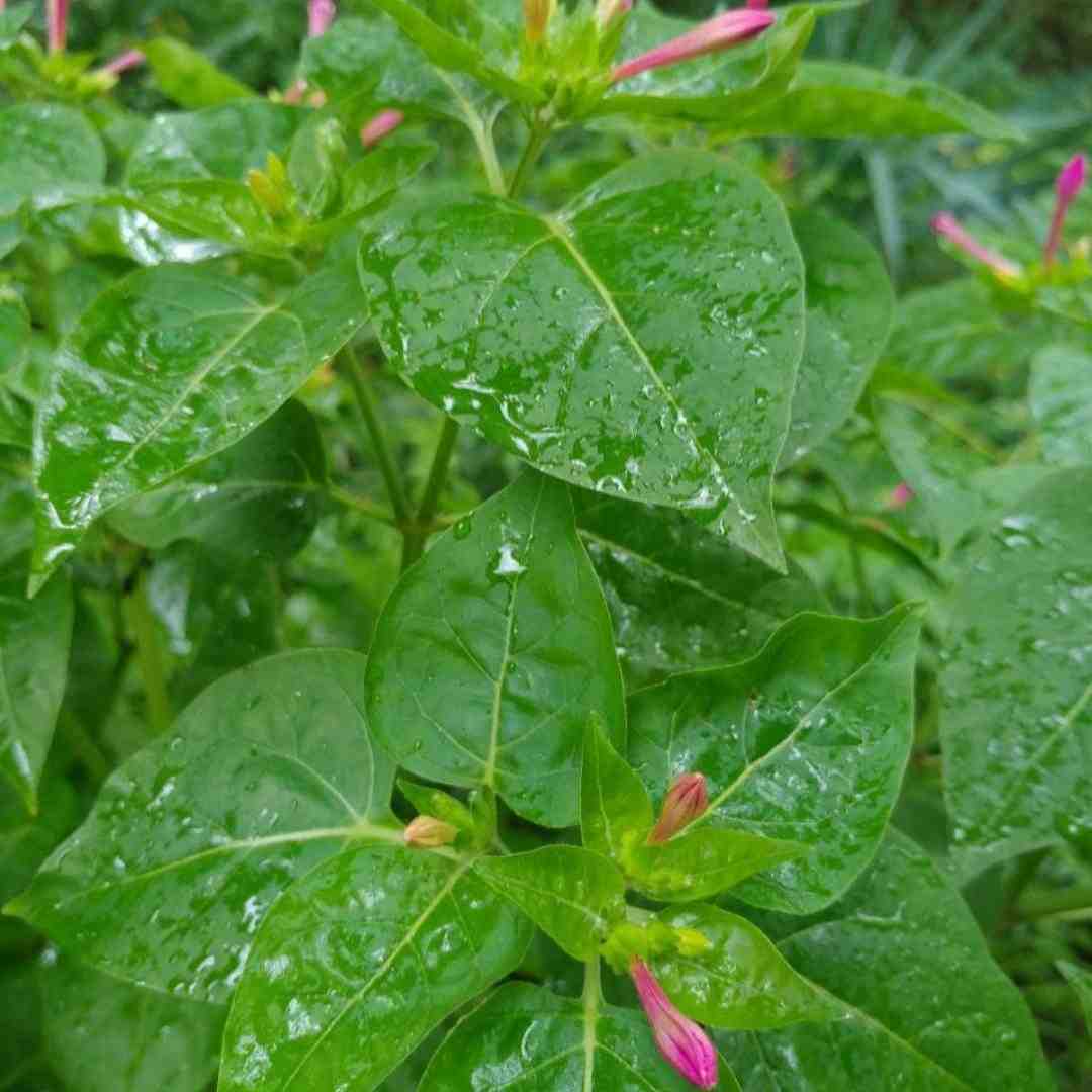 میشم به فدات خودم یه نفری (هوش مصنوعی)