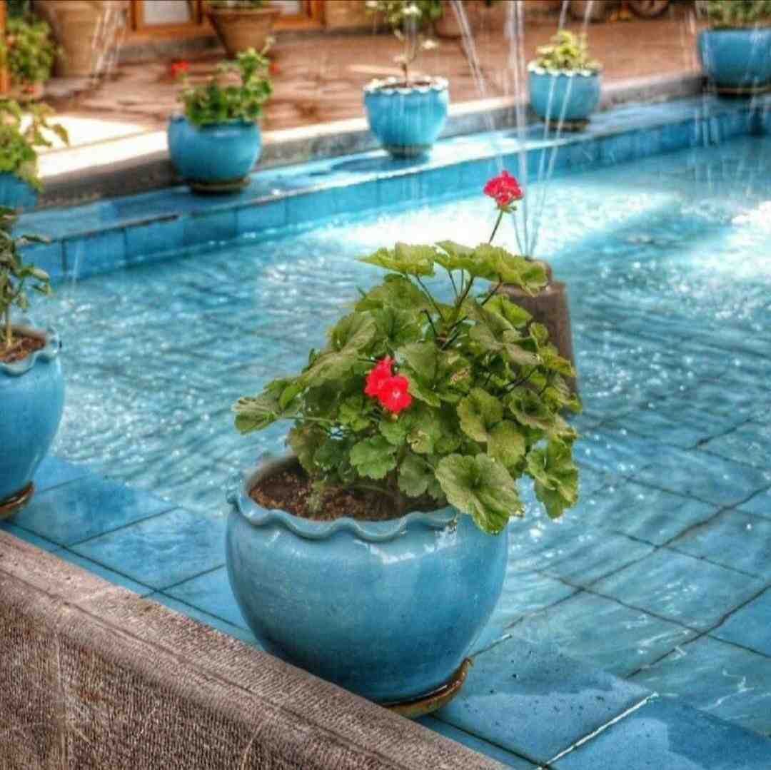  ببین تو بیستی ما صفریم با هم پرفکتیم