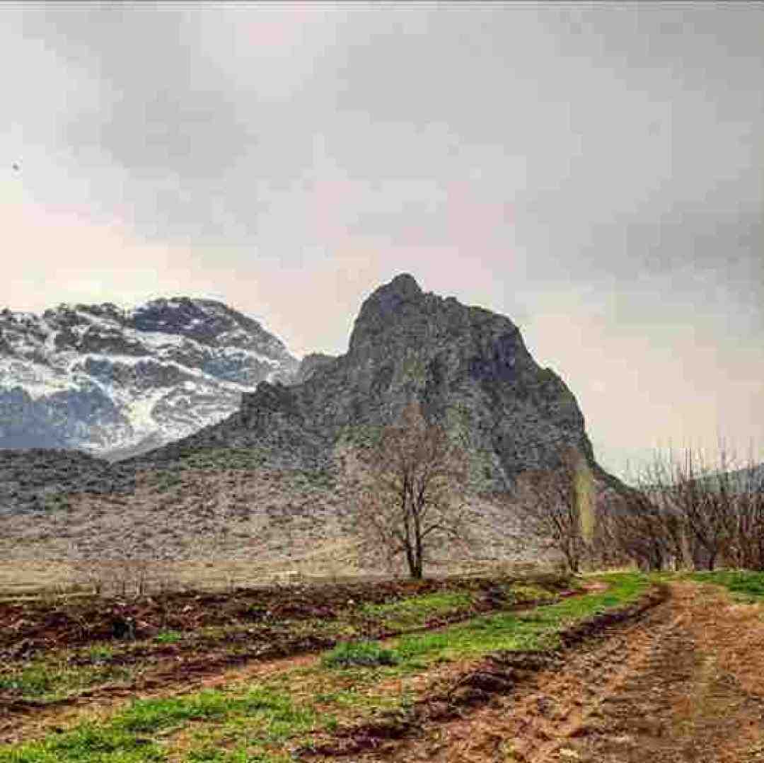 سرگرمی تو شده بازی با این دل غمگین با صدای زن