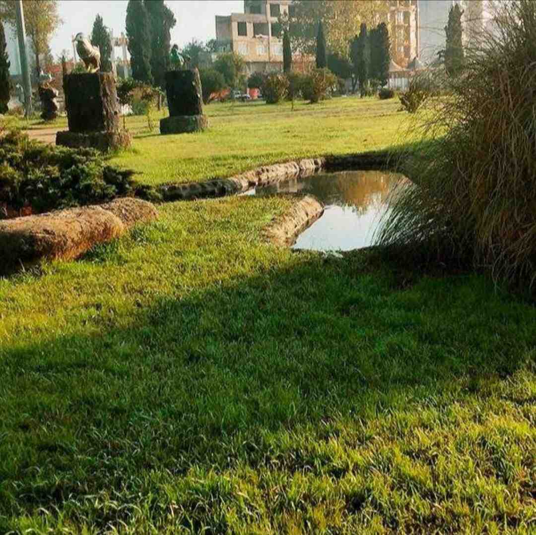 ایران تا چین مست دیدنت