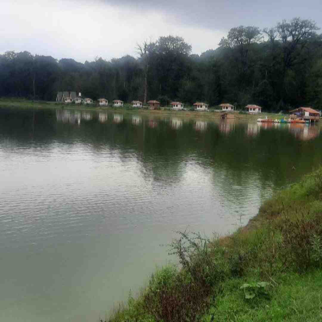  امشب خونمون بله برونه