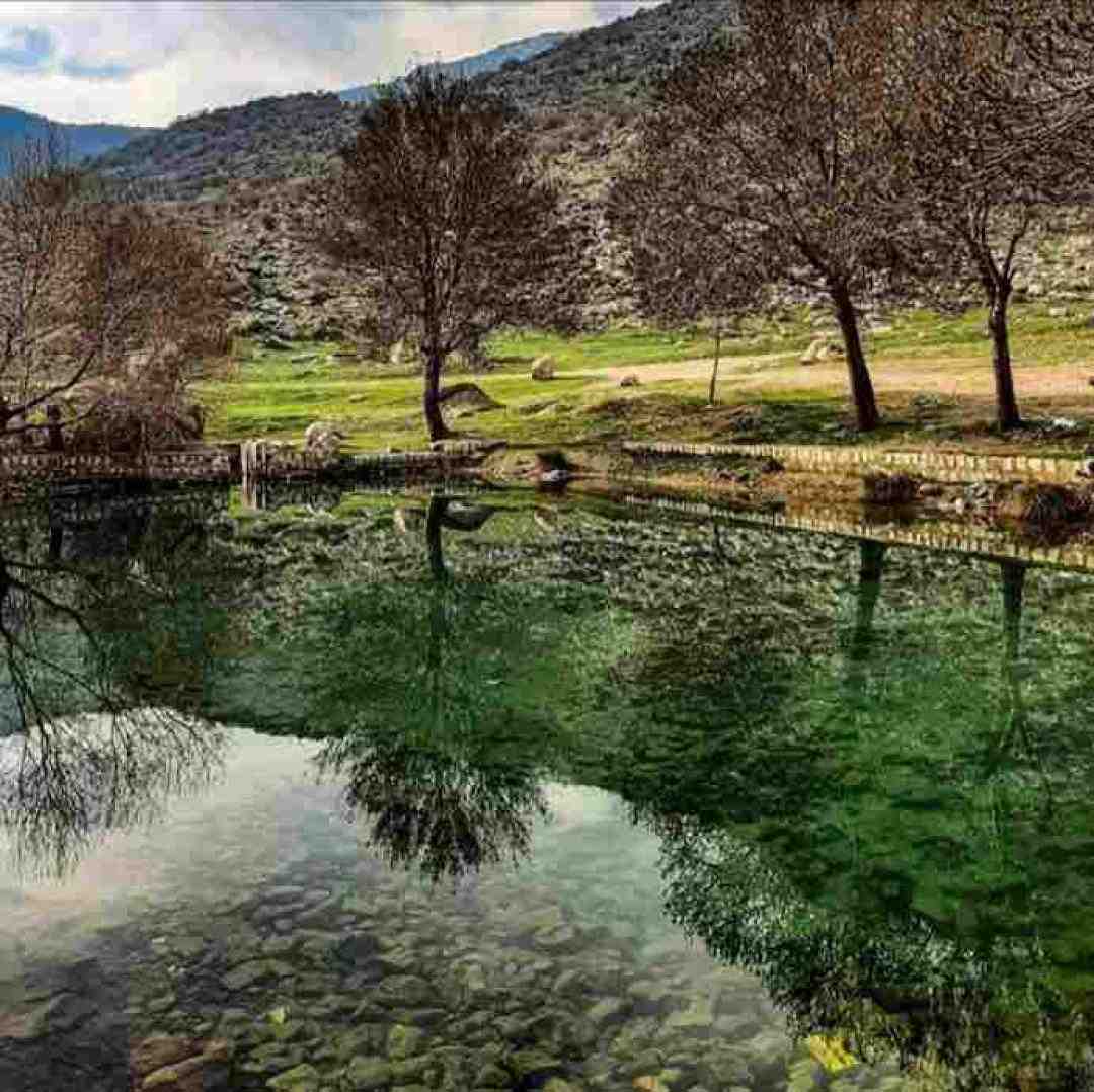 بیا ببریم بالا باهم این لیوانو با صدای زن