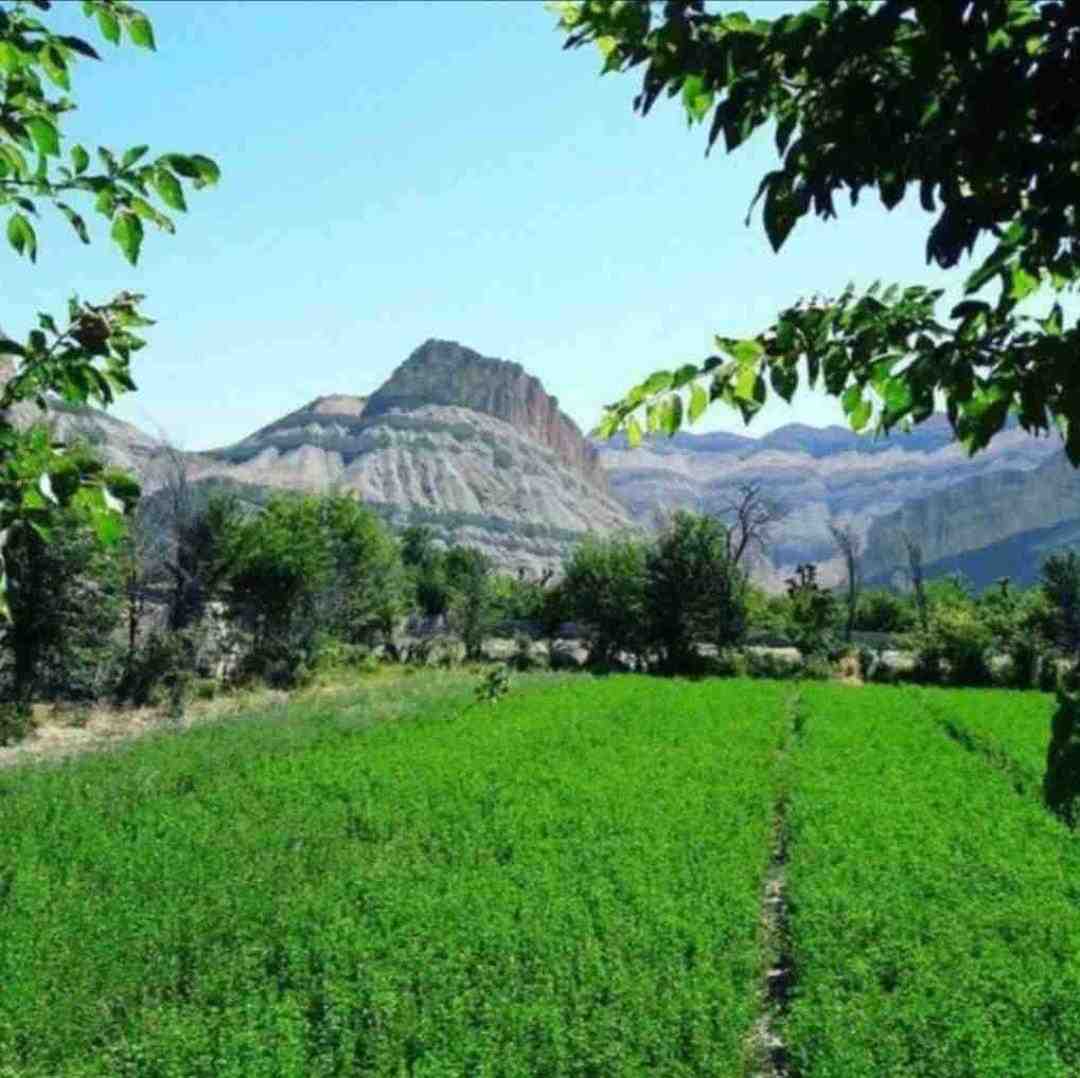 زاهدان پلاک 85 شوتی فقط 405 با صدای پسر اینستایی