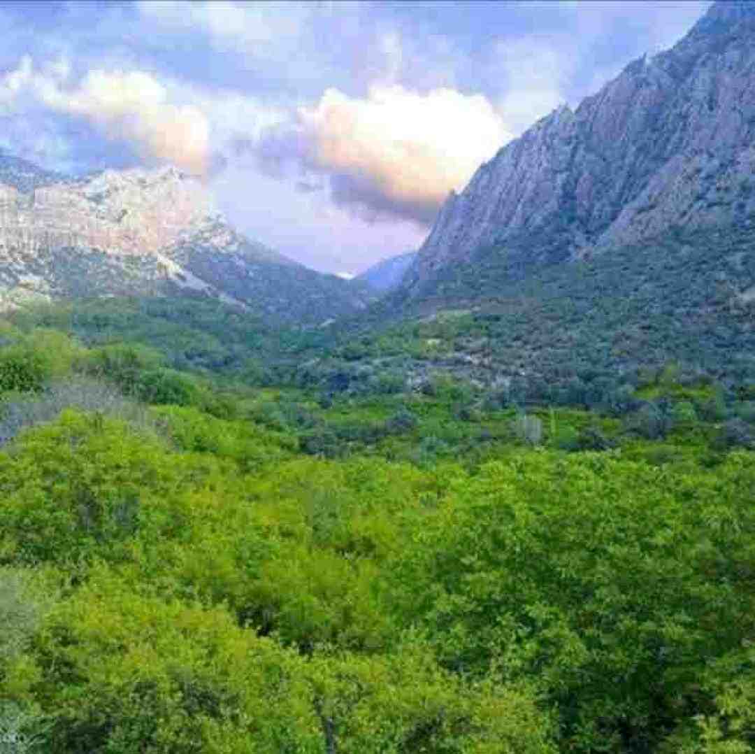  من نه یه لاتم نه یه رهبر