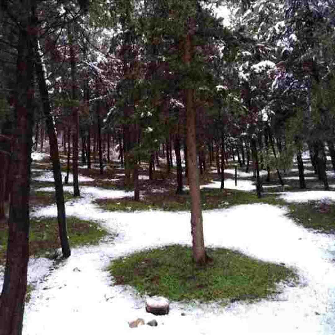  میخونه بی شرابه یادی نکردی