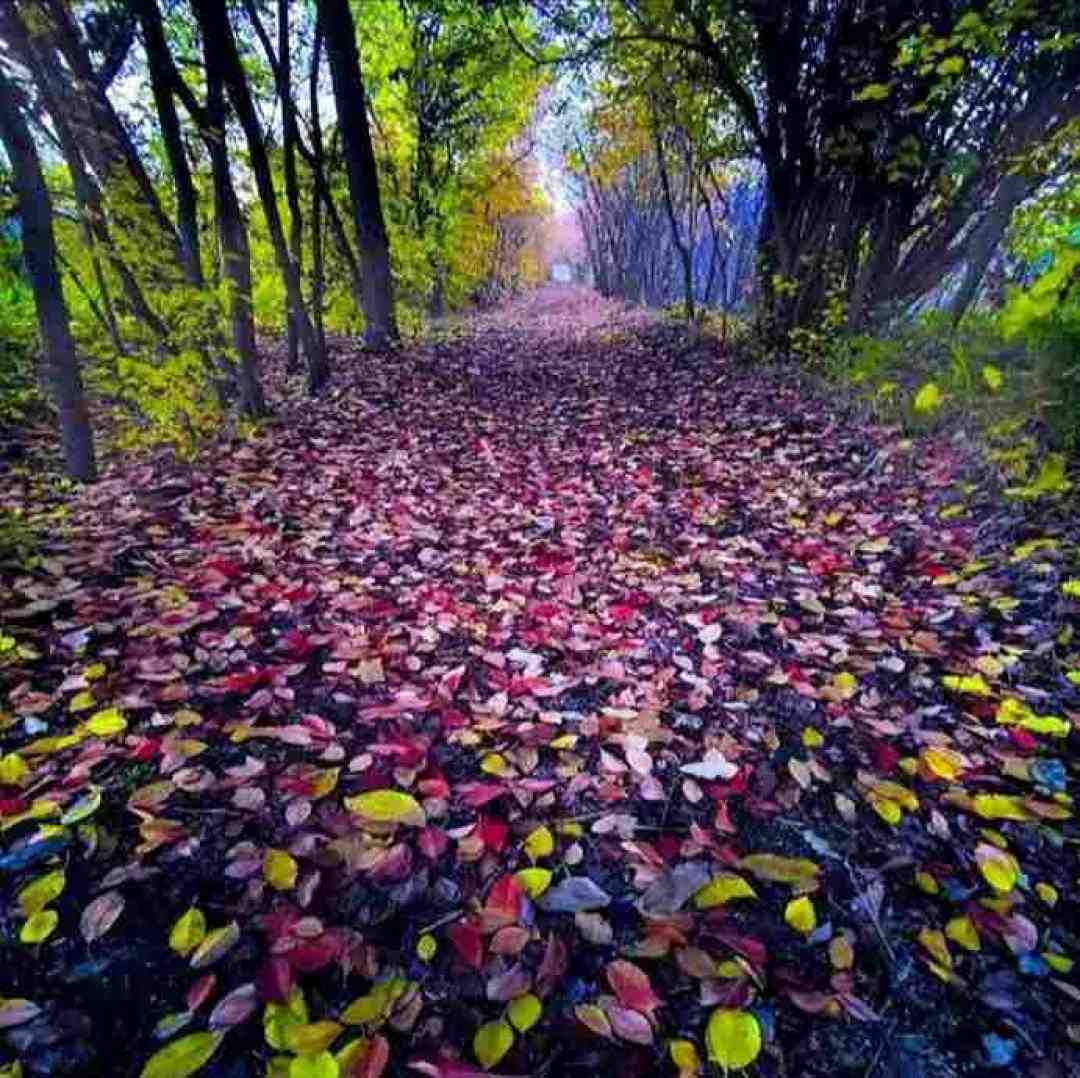  چقدر بزرگ شدی خواهری