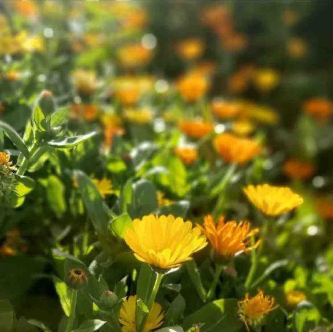 منکه چیزی یادم نمیره و هر لحظه ممکنه بعدت