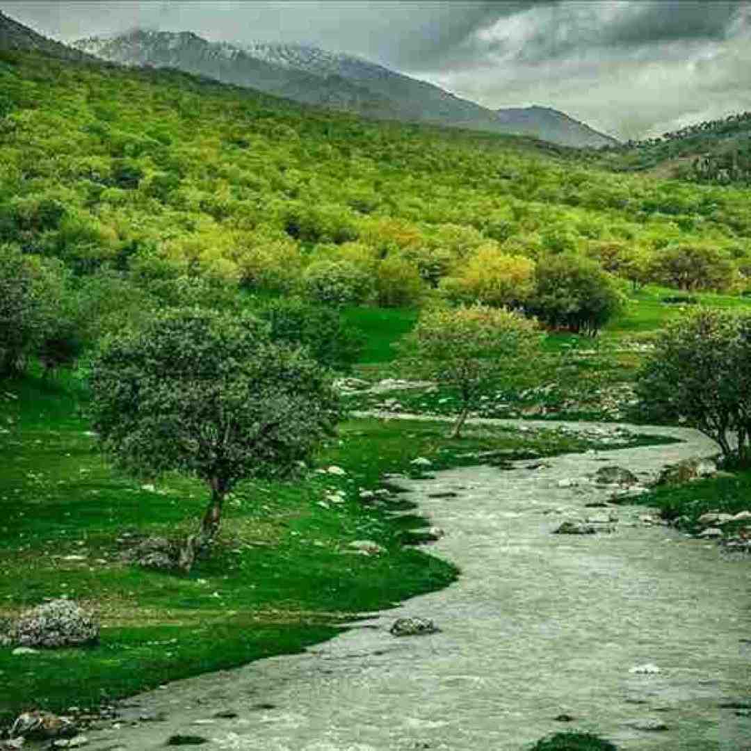  جناب سروان نزن قلبم ضعیفه با صدای دختر