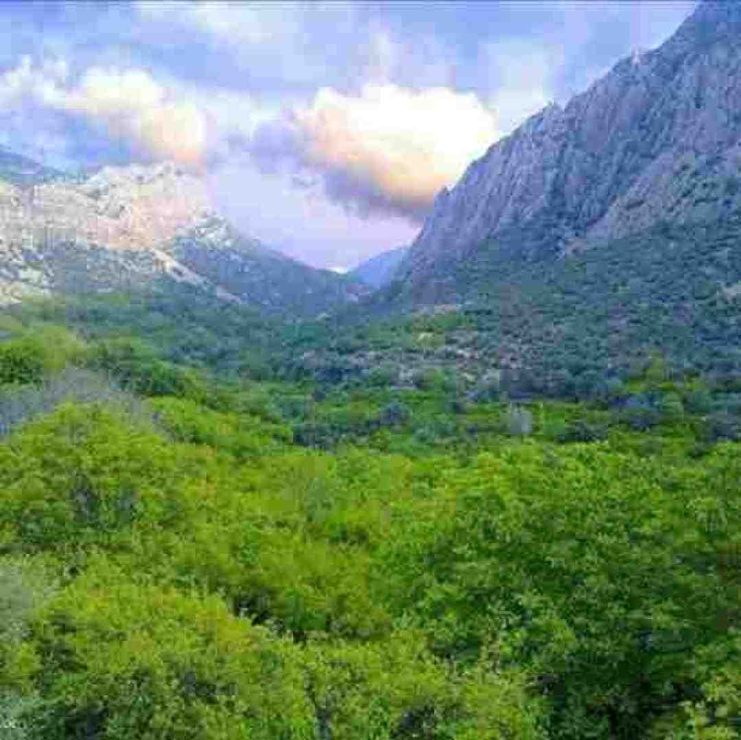 دیگه به ندرت میکشم از خلوت بیرون