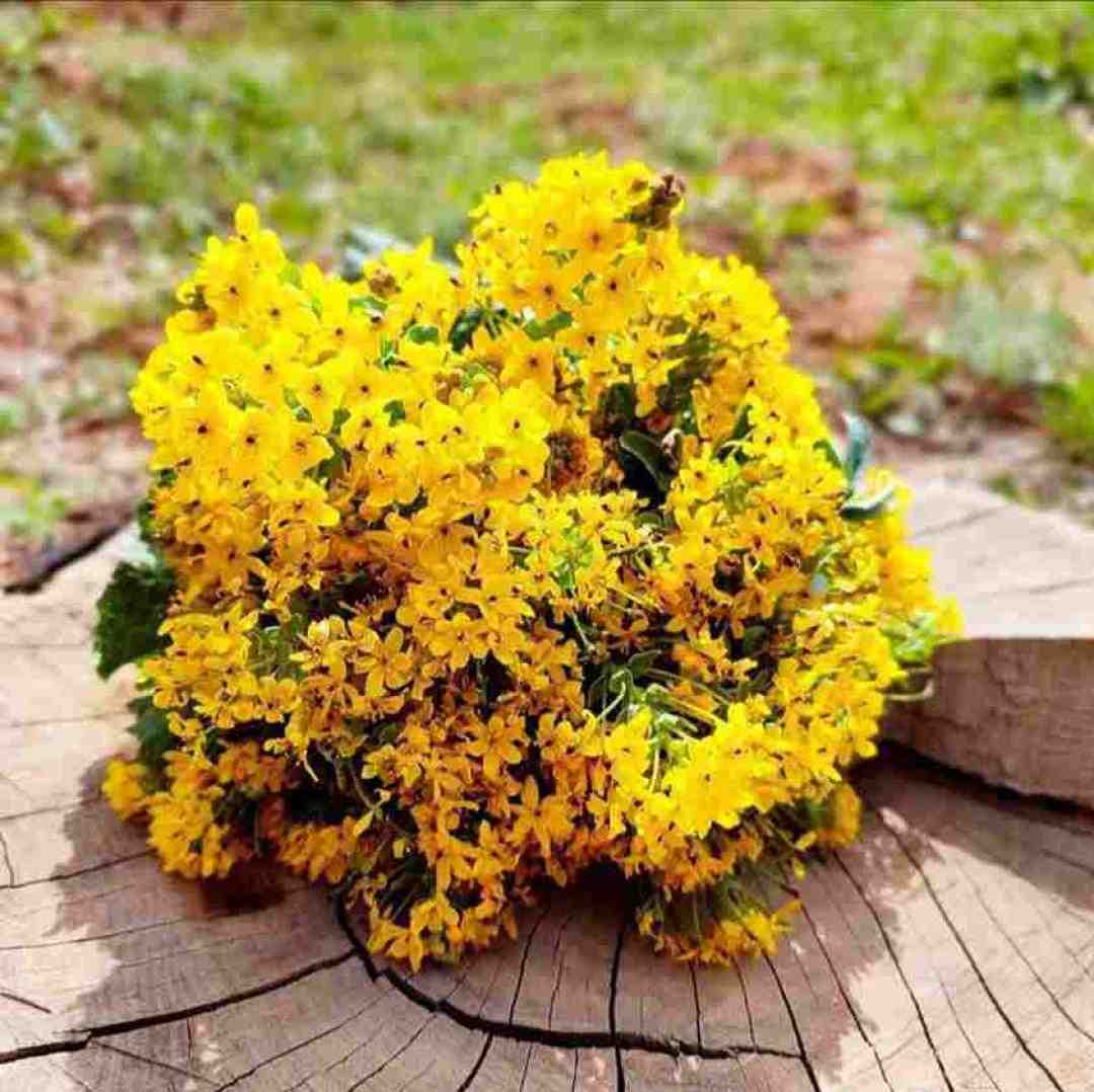  همه رفتن کسی دور و برم نیست چنین بی (هوش مصنوعی)