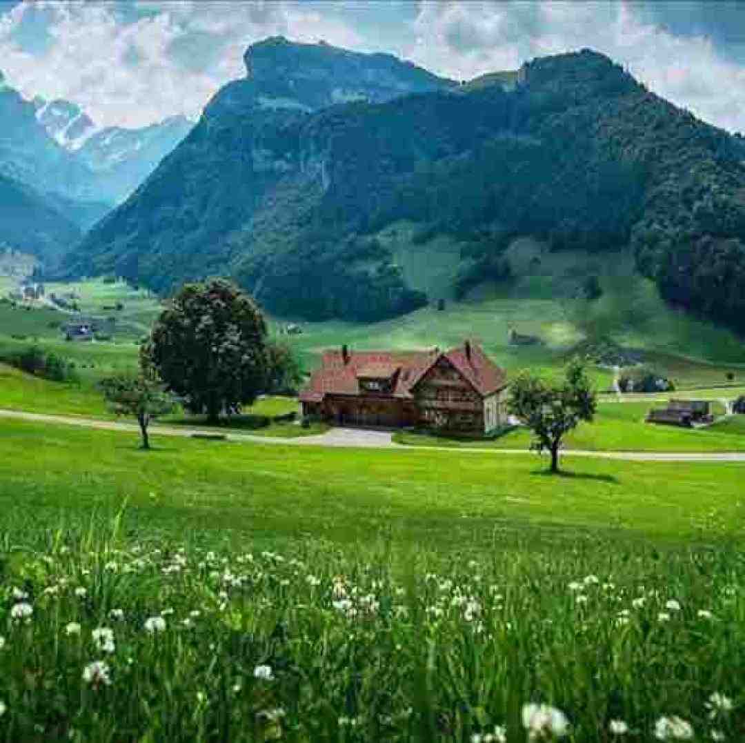  گم کردم راهمم برات بیا نشون بده راهم