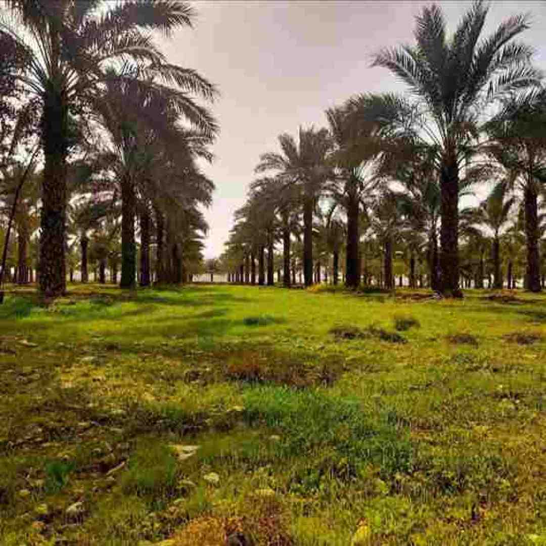  کلا گفتم حاجی منو بگیر یهو نیفتم