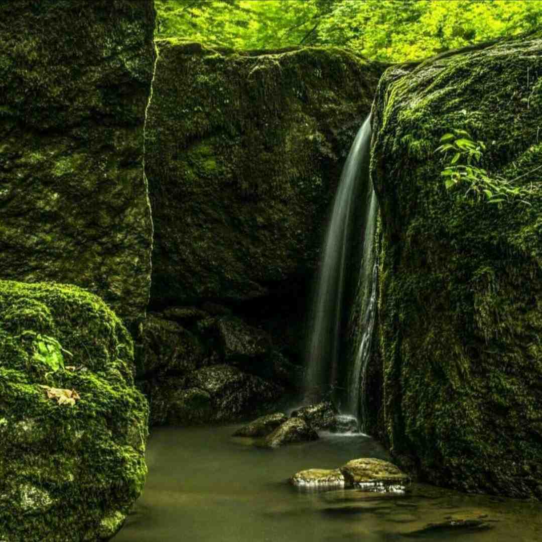  عشق فقط سه حرفه تو پر حرفی عشق باید