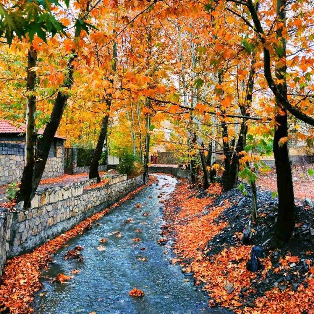  بمیرم برات خونه بی قراری با صدای پسر بچه