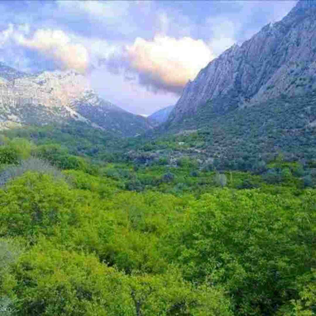 تو بارون که رفتی شبم زیر و رو شد