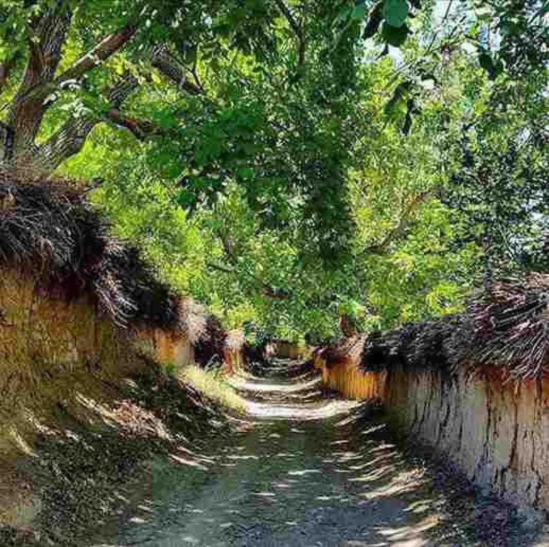 اینجا فحش ناموسی تعطیل ناسلامتی مردین