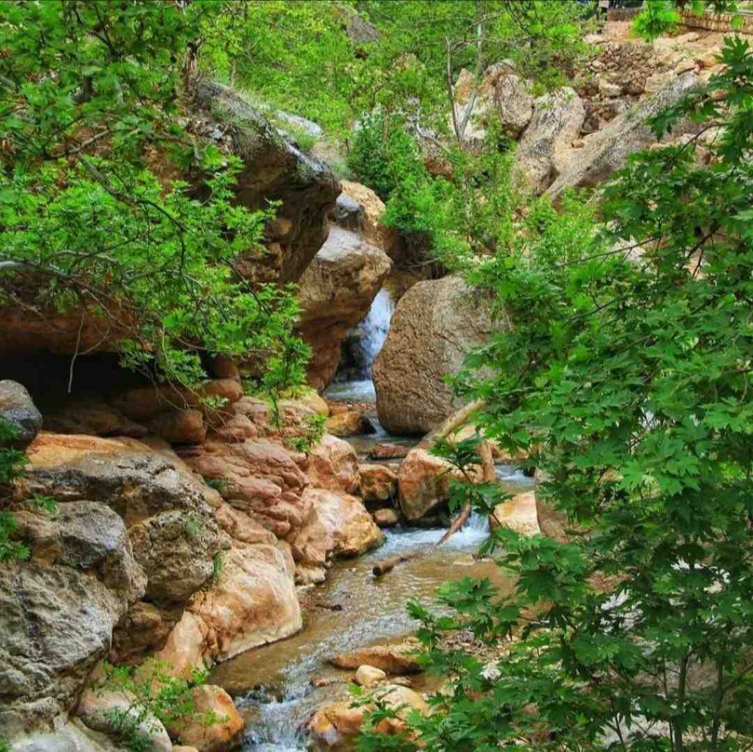 جو منو گرفت یکی بگیره منو حالا من