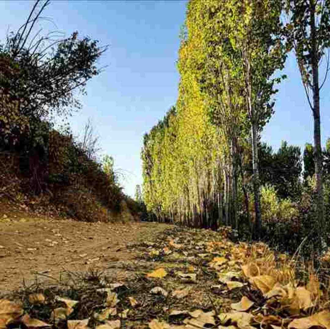 من یکم چاق نشدم یکم بد اخلاق نشدم