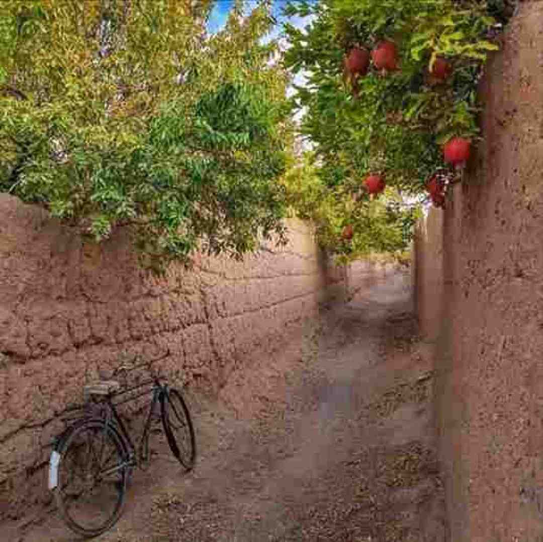 اتش نزن دیگر به جانم (سریال گردن زنی)