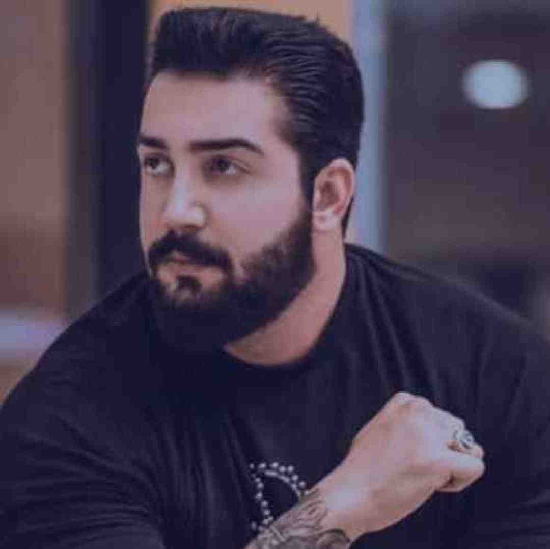 آرمین سبزواری حسرت