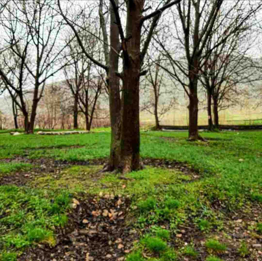  میخوام که وقتی خوابی کنار تو بشینم