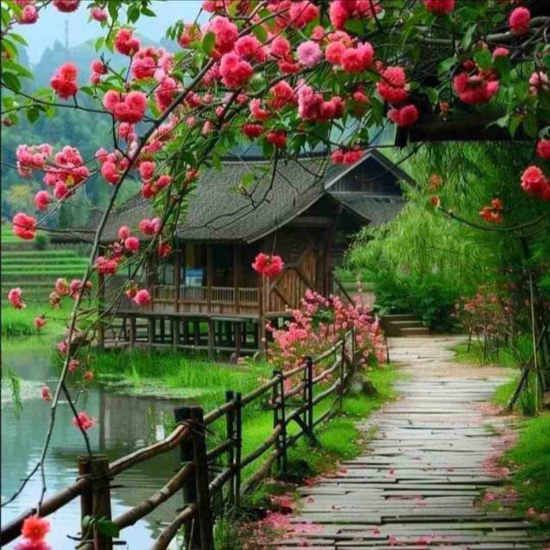  درواقع زندگی اصلا دوتایی خوبه