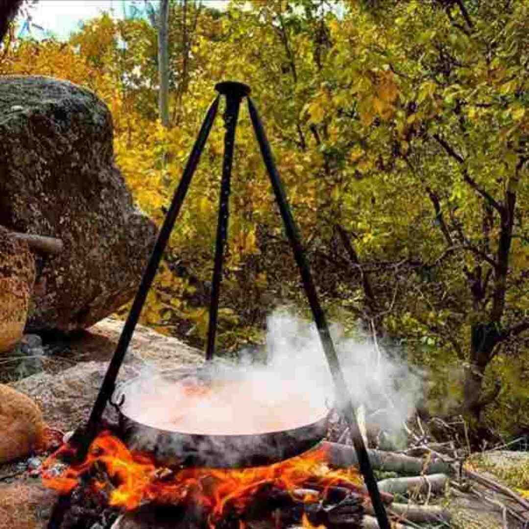  دوباره باز پاییز اومدو برگارو
