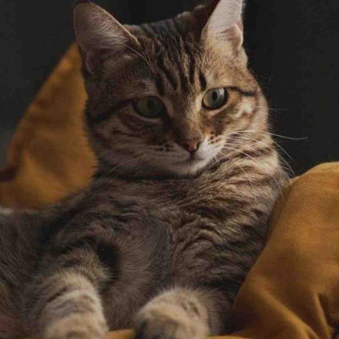  یه روز میرسه که میشه گوش دادن به من جرم