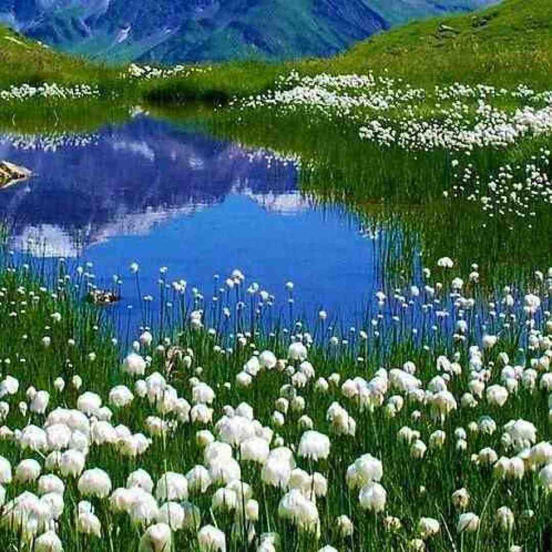 هردفعه میگذره الکله میپره اون با من تیک زده