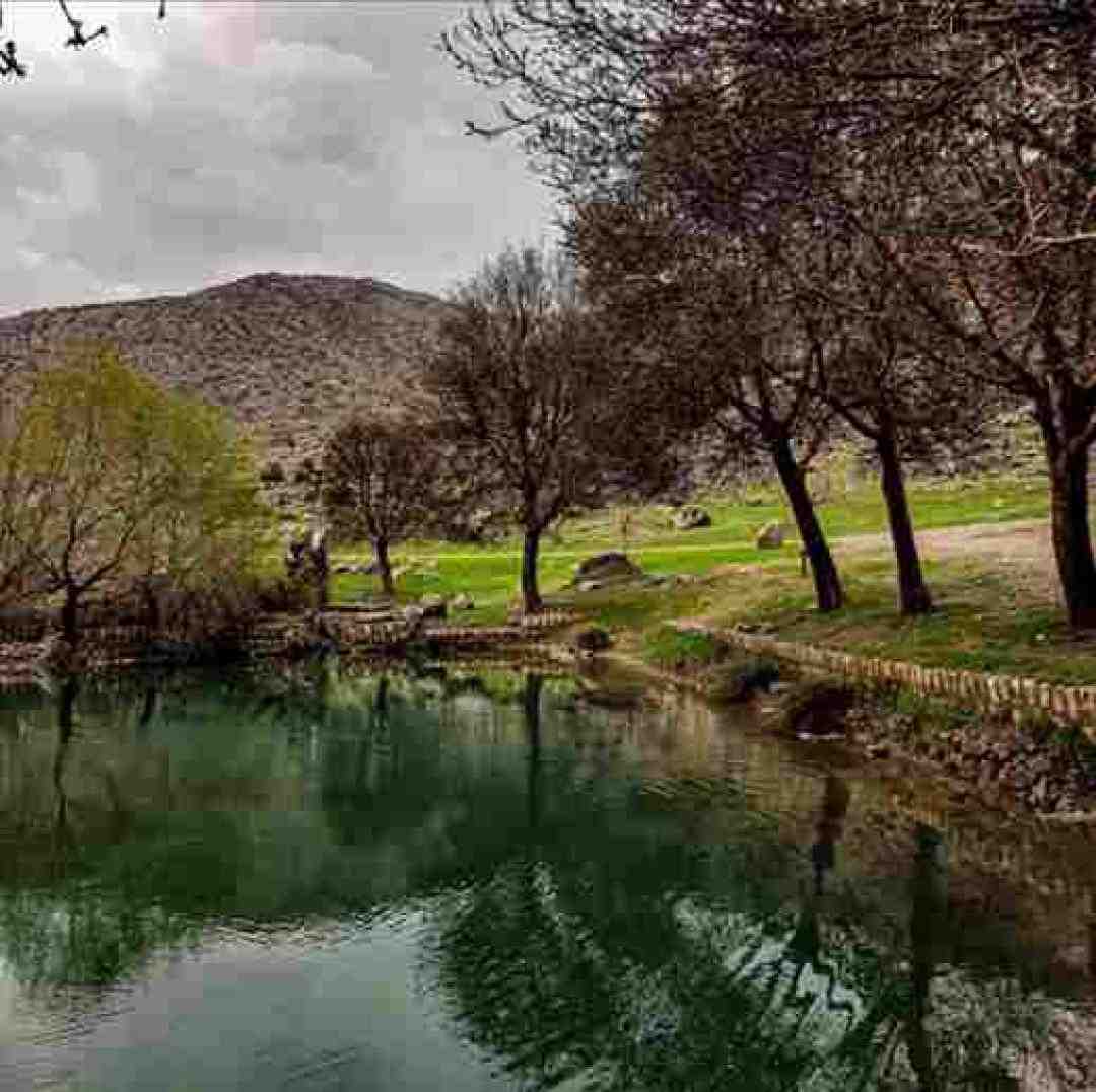 این پیک به سلامتیت من نوش جونت میکنم