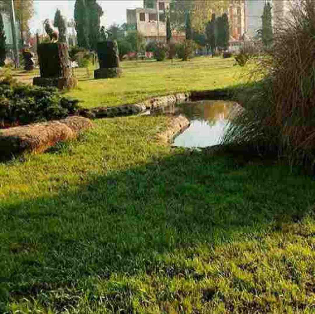  عوض کردی طعم زندگیمو (هوش مصنوعی)