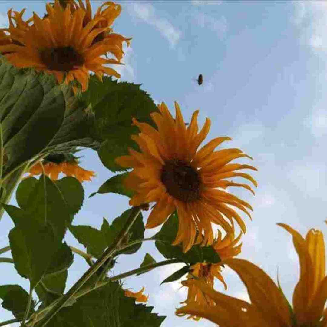 ساعت ده و نیمه همه رسیدن